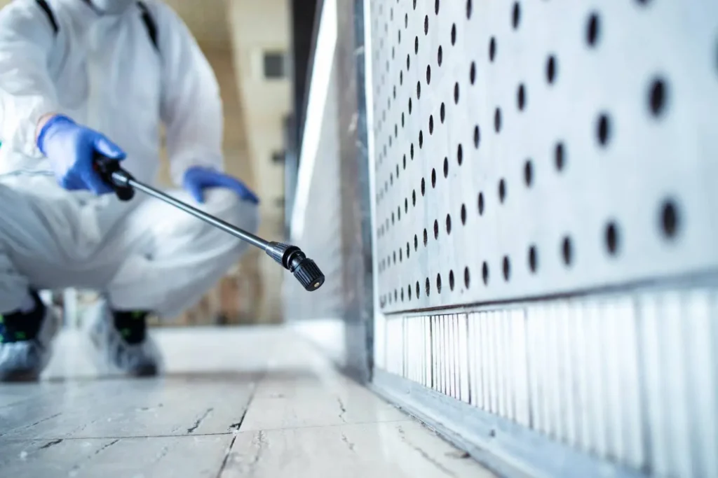 Signs Your Home Needs Immediate Pest Control