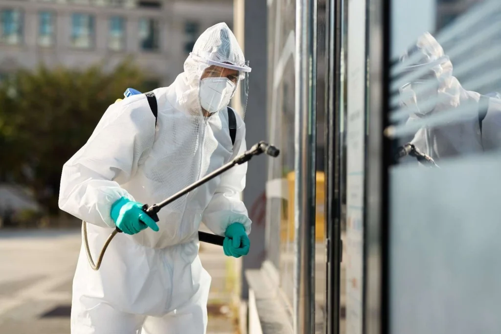 How everyday habits secretly invite pests into your home