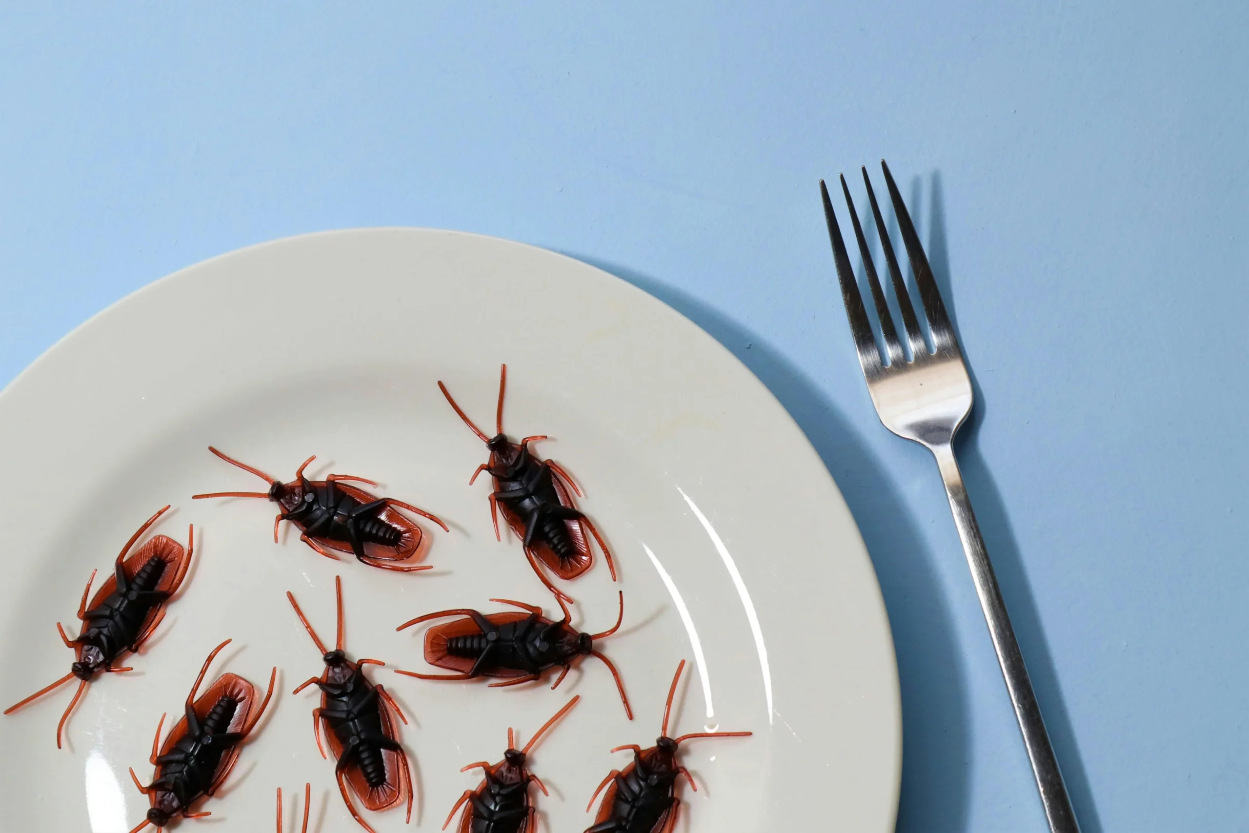 Home Remedies for Cockroaches in Kitchen